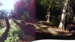 Dosewallips Campground Video
