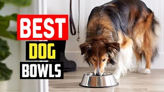 ✅ Top 5 Best Stainless Steel Dog Bowls in 2025