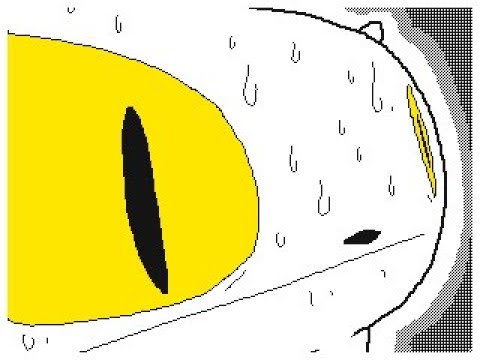 Artists when a new character is revealed.