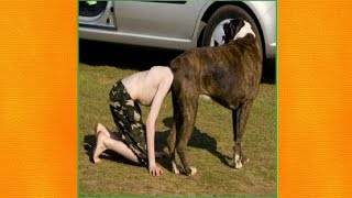 Best Magic Vines Compilation   Funny videos 2016 try not to laugh  Pigz