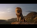 The Lion King Tamil Mufasa Teaches To Simba 1080p HD