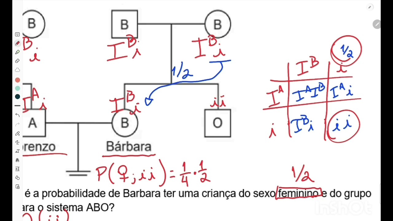 Principais Exercícios de TIPAGEM SANGUÍNEA - Heredograma - Cálculos de probabilidade