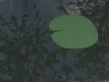 Microcosms