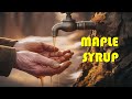 How To Make Maple Syrup Start To Finish