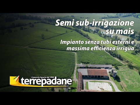 Impianto di irrigazione in semi sub-irrigazione su mais