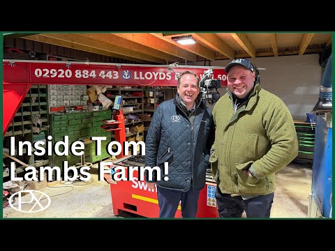 P.X. Farms Ltd and Tom Lamb