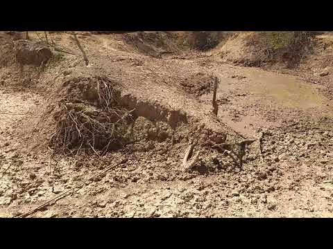 Ganância Humana video