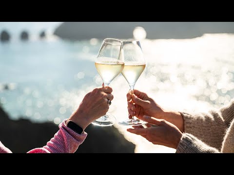 Things to Do in Mendocino For Food And Wine Lovers