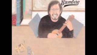 David Bromberg - The Holdup