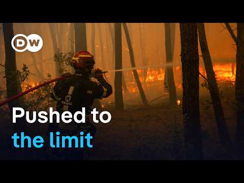 Greek firefighters struggle to save coastal resort | DW News