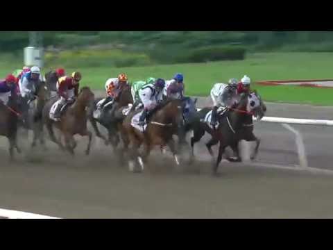 2016.07.16 Svenskt Derby - Duke Of Burden