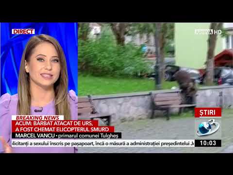 Bărbat atacat de urs în Harghita, în propria curte, în urmă cu puțin timp