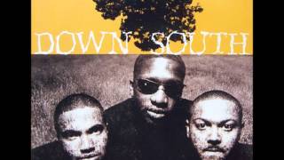 Down South - Spin Da Boddle (feat The Funkaholic & Bobbito)