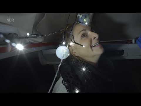 Der große Urlaubscheck: Dänemark Doku (2020)