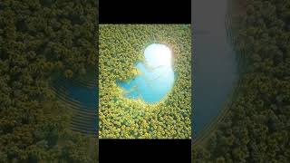 Monster sea tiktok #shorts#sea#island#monster#viral