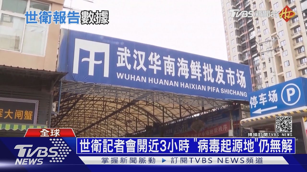 病毒起源仍無解! 世衛調查:蝙蝠非病毒「直接源頭」