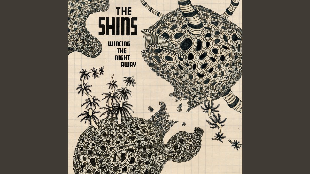 The Shins - Phantom Limb