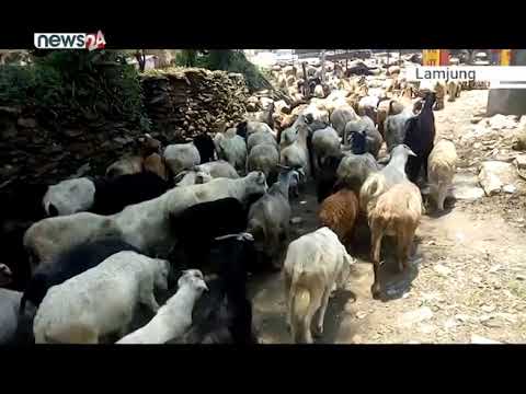 जिल्ला प्याकेज - NEWS24 TV