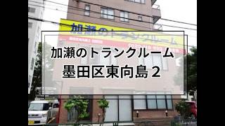 YouTube動画