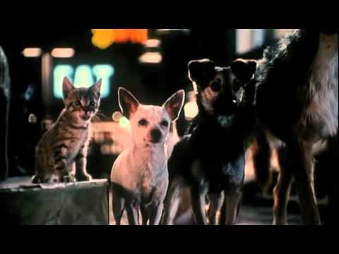 Babe: Pig in the City Official Trailer #1 - Mickey Rooney Movie (1998) HD