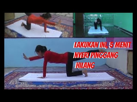 Lady Slim pelangsing ulasan tea Klip di telinga untuk ulasan penurunan berat badan