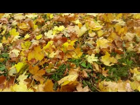 Ly Kättmann - Sügise tunded