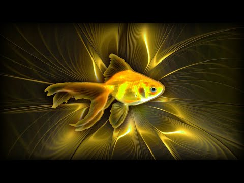 Catch your LUCK on the hook! Make Your DREAM come true! The video WILL fulfill your wishes!