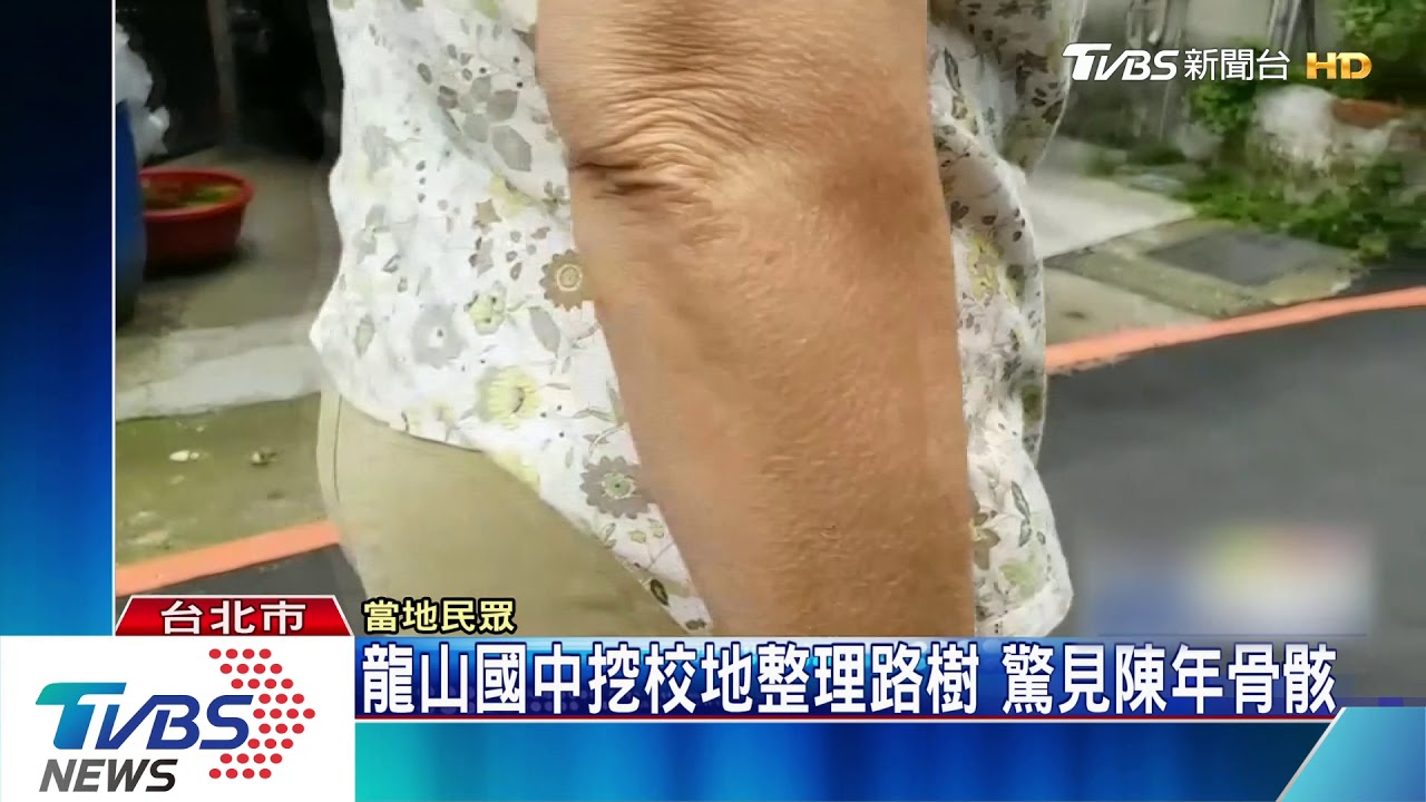 龍山國中挖校地整理路樹　驚見陳年骨骸