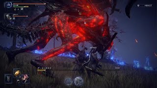 ついにハルモニアにパリィ決める？がびさんと一緒
