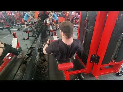 Spring Bulk Day 140-Back