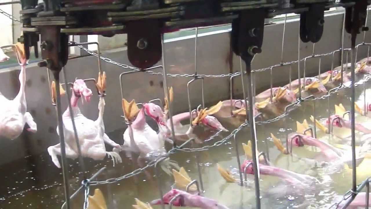 Воскование