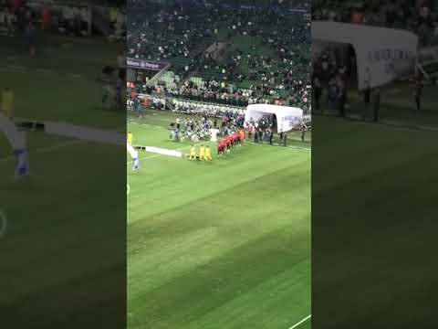 Entrei no campo do Palmeiras