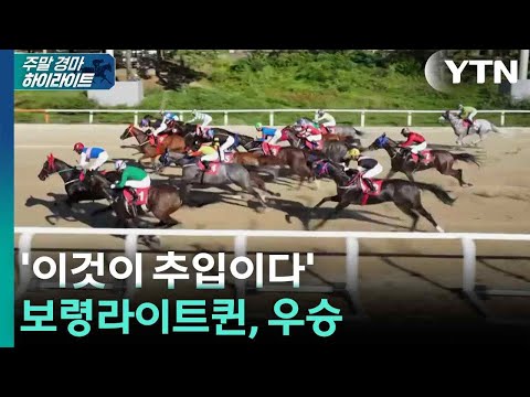 [Weekly Horse Racing] "This is the chase"...Boryeong Light Queen wins / YTN