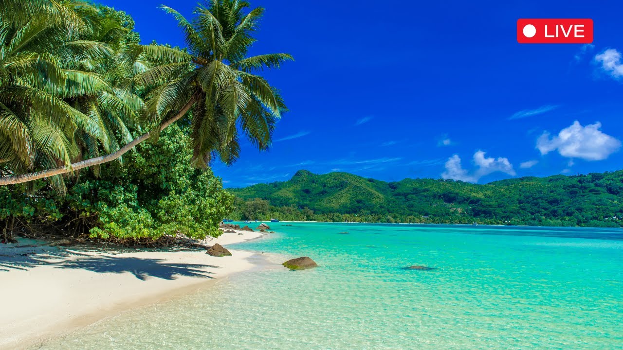 STOP Wasting Time! Find the BEST Ocean Waves for RELAXATION