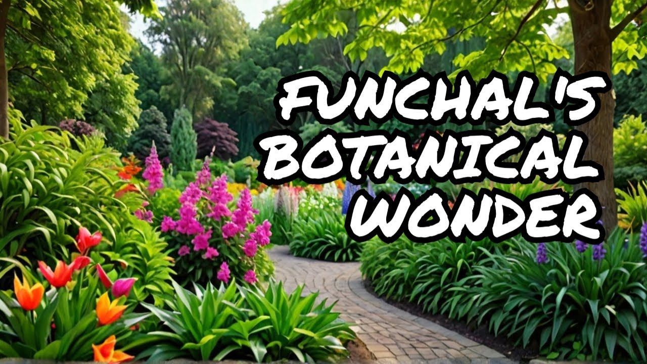 Stroll through expansive Madeira Botanical Garden.