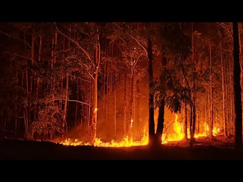 Crónica de un incendio anunciado (De Algorta a Tres Bocas)