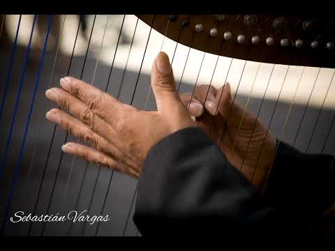 Pista de baile joropo llanero (Instrumental)