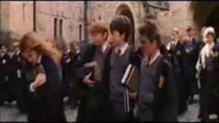 trying to recall ron/hermione