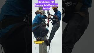 Download lagu Cara Sambung Kabel Listrik Diatas Tiang #listrikuntukkehidupanyanglebihbaik #pemeliharaan #pln mp3