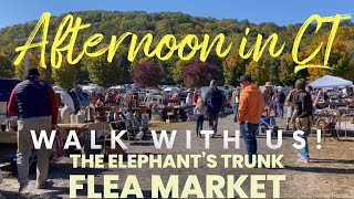 Elephants trunk flea market thrifting New Milford CT Connecticut