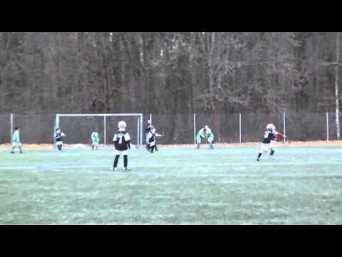 Saison der F2-Jugend der SVG 1910 Steinheim (2011/2012)