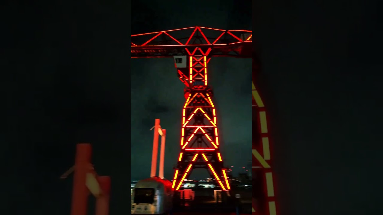 东京豊洲夜景 梦幻灯火交织的璀璨盛宴 宝子们 霓虹更璀璨 城市的夜晚 街景随拍 日本旅游  #旅行团 #专业导游 #日本接送机 #日本旅游 #定制旅游