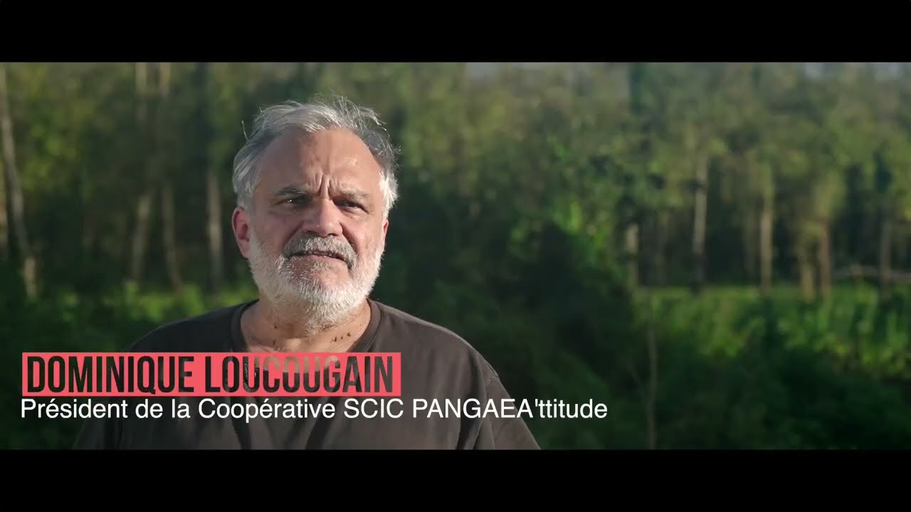 Film PANGAEA'ttitude