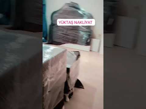 YouTube Shorts Önizleme