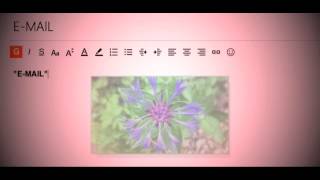 Pet Shop Boys - E-mail (2002)