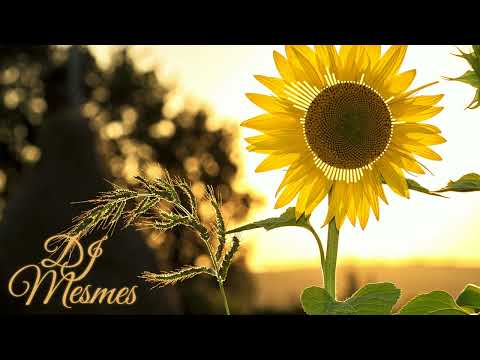 Lighthouse Family x DJ Mesmes - Ain't No Sunshine [Zoukable Bootleg Remix] #84bpm