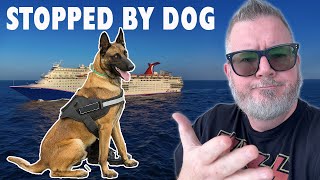 My Cruise Embarkation Trouble - The Dog Found Something