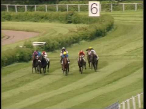 Grosser Preis der Sparkasse Dortmund 2006 (Listed): Saddex - Proudinsky - Dwilano