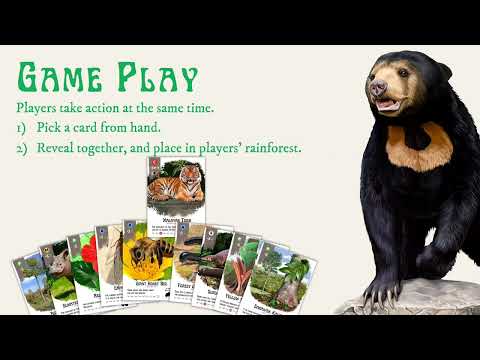 How To Play MY RAINFOREST Card Game | Malaysian Local Board Game