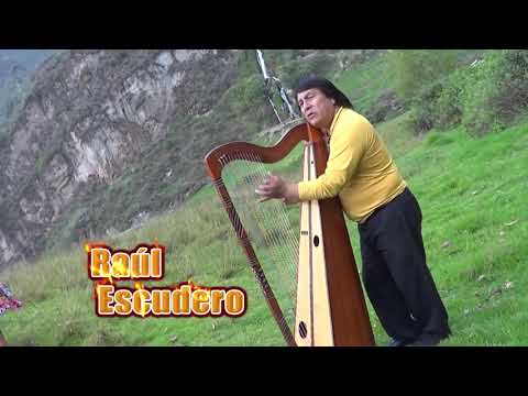 RAUL ESCUDERO 🎶   LIRIO LIRIO🎶  CIELO Y LAS ESTRELLAS 🎶EL GITANO DEL ARPA